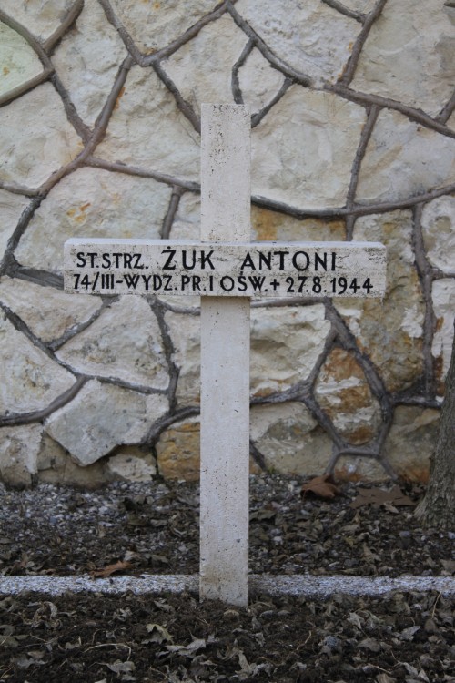 Antoni Żuk