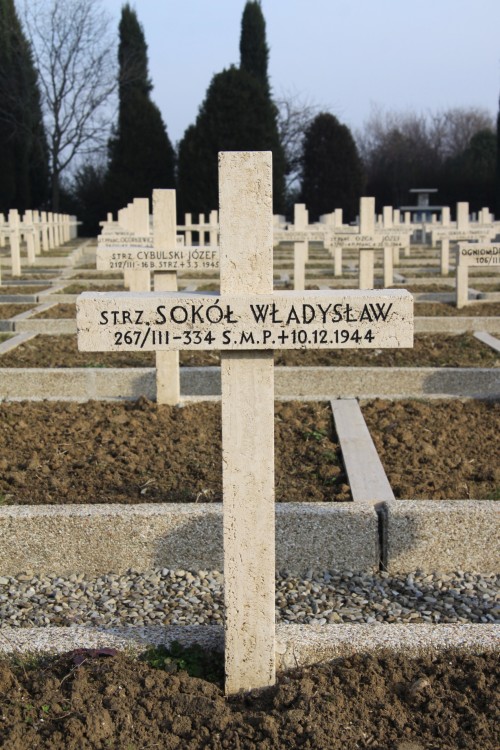 Władysław Sokół