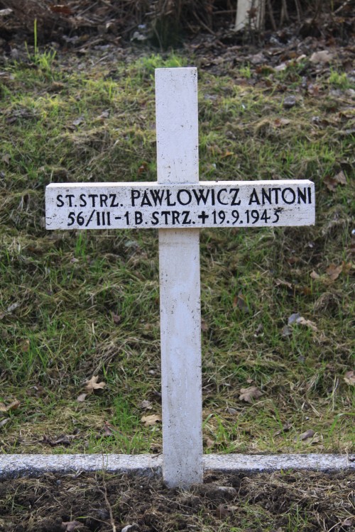 Antoni Pawłowicz