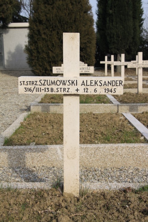Aleksander Szumowski
