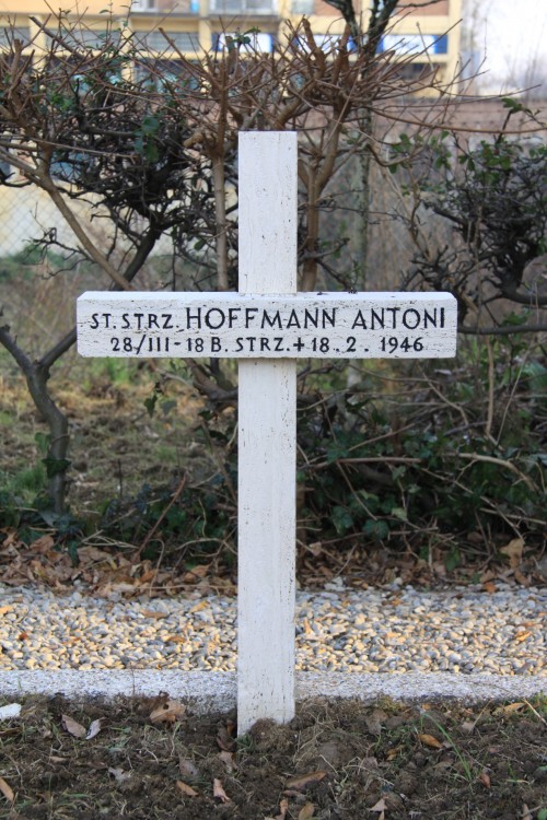 Antoni Hoffman