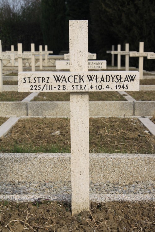 Władysław Wacek
