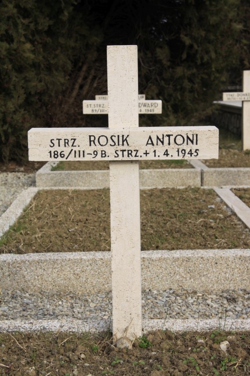 Antoni Rosik